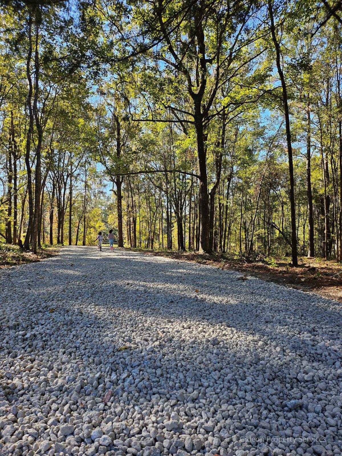 3/2 Uf Wooded Paradise Retreat Gainesville Dış mekan fotoğraf